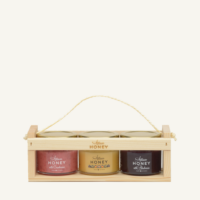 Artisan Honey 3 × 100 g · täidetud lipikarp 3 × 100 g · täidetud lipikarp soojal heledal taustal
